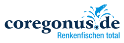 coregonus.de-Logo